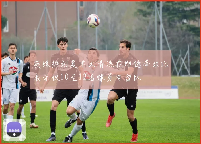 英媒热刺夏季大清洗在即德泽尔比表示仅10至12名球员可留队